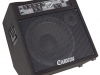 Carvin Amplification