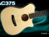 Carvin Acoustic Guitars