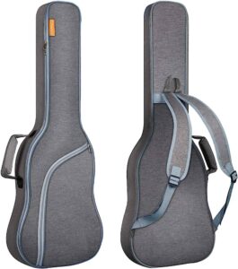 Gig Bags